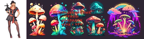 прущая мука Краснослободск