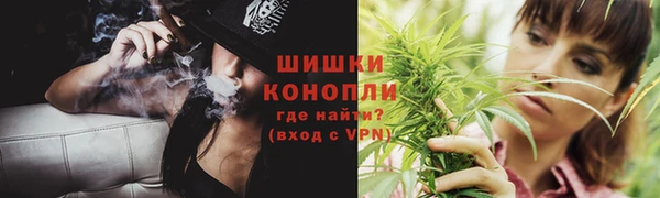 прущая мука Калининец
