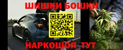 шишки Жуковский