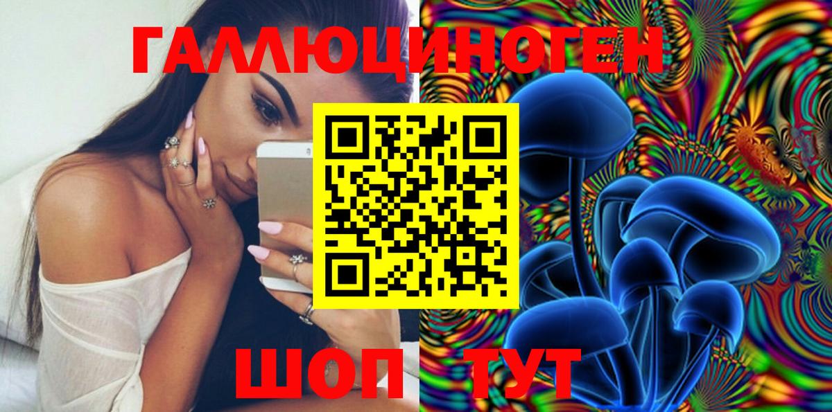 Галлюциногенные грибы Cubensis Сосновый Бор