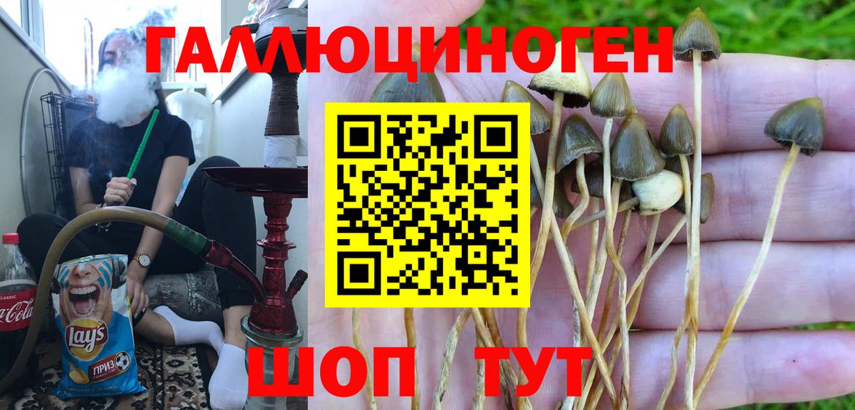 Галлюциногенные грибы Magic Shrooms  Вход с VPN  Сосновый Бор 