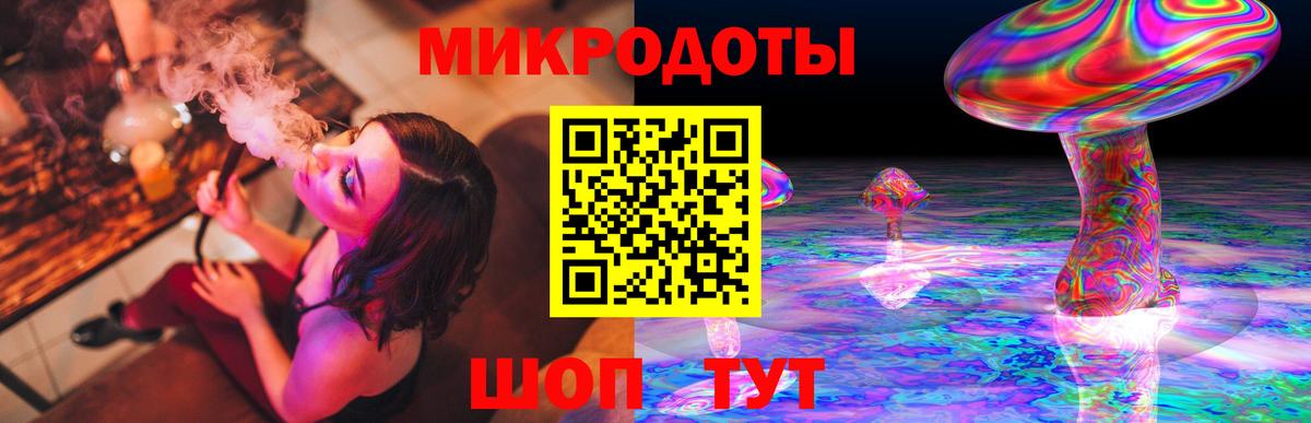 Псилоцибиновые грибы мицелий Сосновый Бор
