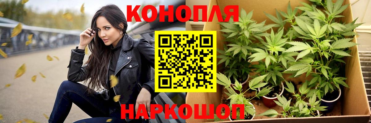 Бошки марихуана план  Вход с VPN  Сосновый Бор  Канабис VHQ  Марихуана VHQ 