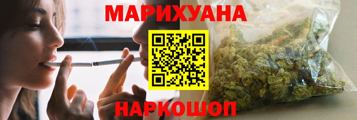Конопля сатива Сосновый Бор